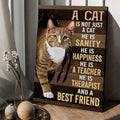 Cat Lover, A Cat Is Not Just A Cat He Is Sanity He Is Happiness He Is A Teacher He Is Therapist And A Best Friend, Cat Poster Poster and Canvas