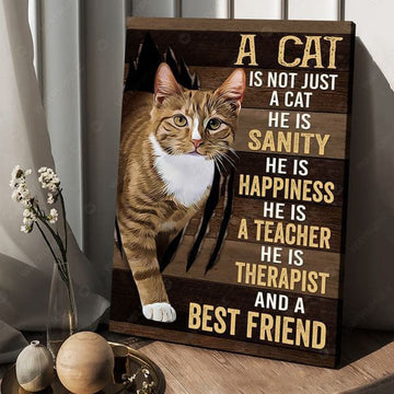 Cat Lover, A Cat Is Not Just A Cat He Is Sanity He Is Happiness He Is A Teacher He Is Therapist And A Best Friend, Cat Poster Poster and Canvas