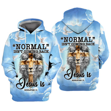 FUNSTUFFPRINT Normal Isn't Coming Back Jesus Is 3D Hoodie and Zip Hoodie