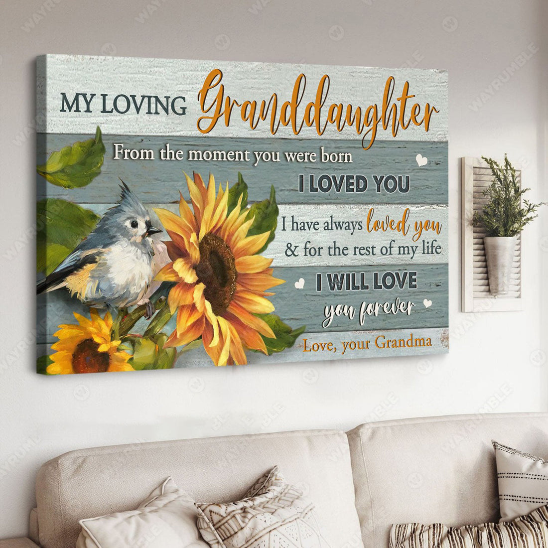My Loving Granddaughter From The Moment You Were Born I Loved You I Have Always Love You Poster and Canvas