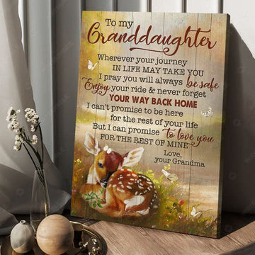 To My Granddaughter Wherever Your Journey In Life May Take You I Pray You Will Always Be Safe Enjoy Your Ride And Never Forget Poster and Canvas