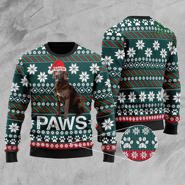 FUNSTUFFPRINT 3D Chesapeake Bay Retriever Santa Printed Christmas Ugly for men and women Ugly Sweater