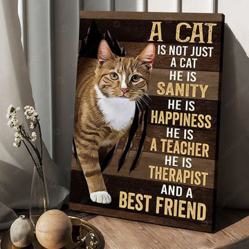 A Cat Is Not Just A Cat He Is Sanity He Is Happiness He Is A Teacher He Is Therapist And A Best Friend Poster and Canvas