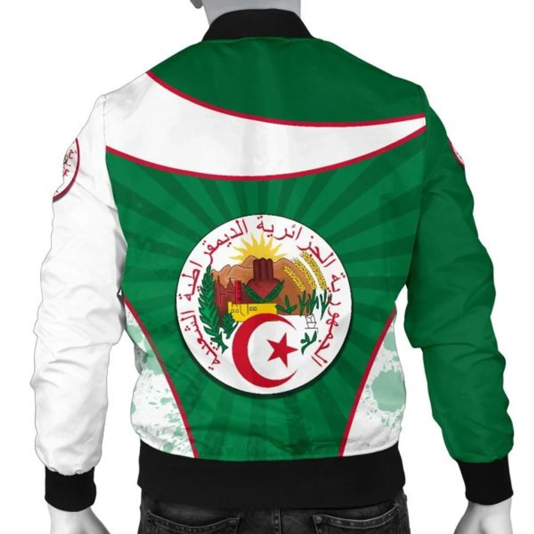 FUNSTUFFPRINT Algeria Men's Bomber Jacket Circle Stripes Flag Special 3D Bomber Jacket