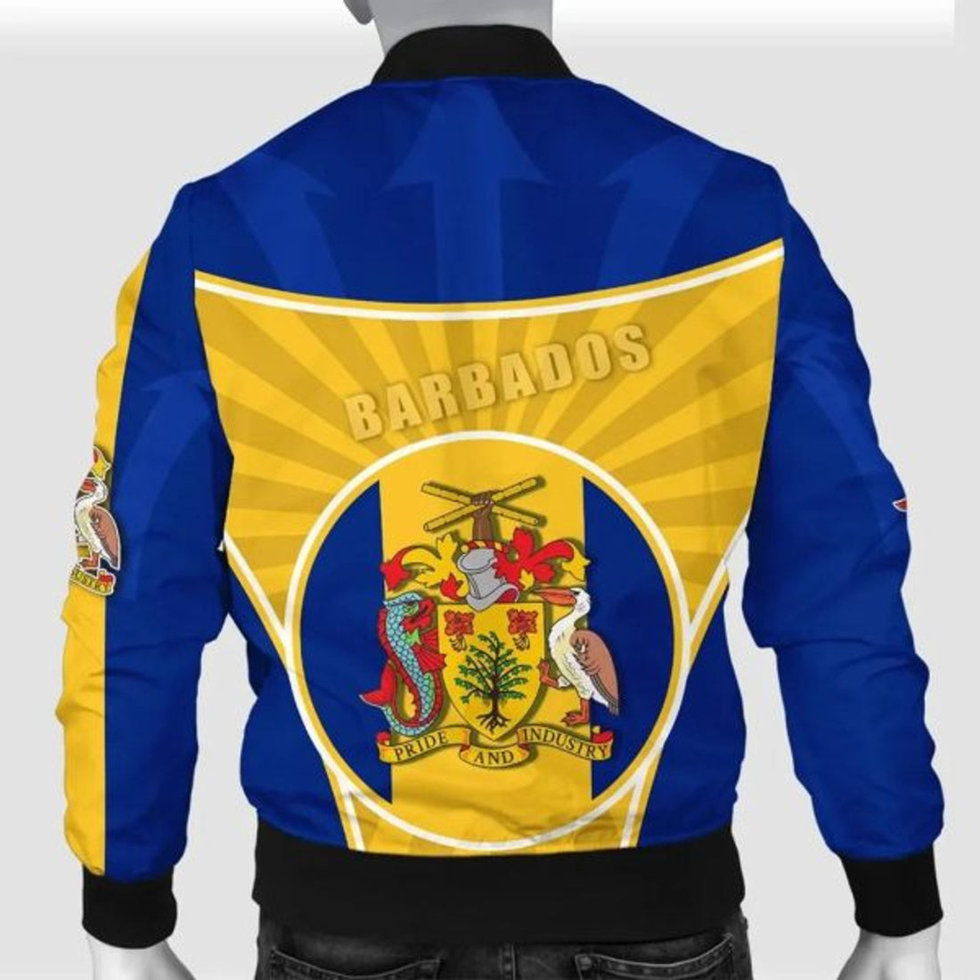 FUNSTUFFPRINT Barbados Men Bomber Jacket Circle Stripes Flag Proud Version 3D Bomber Jacket