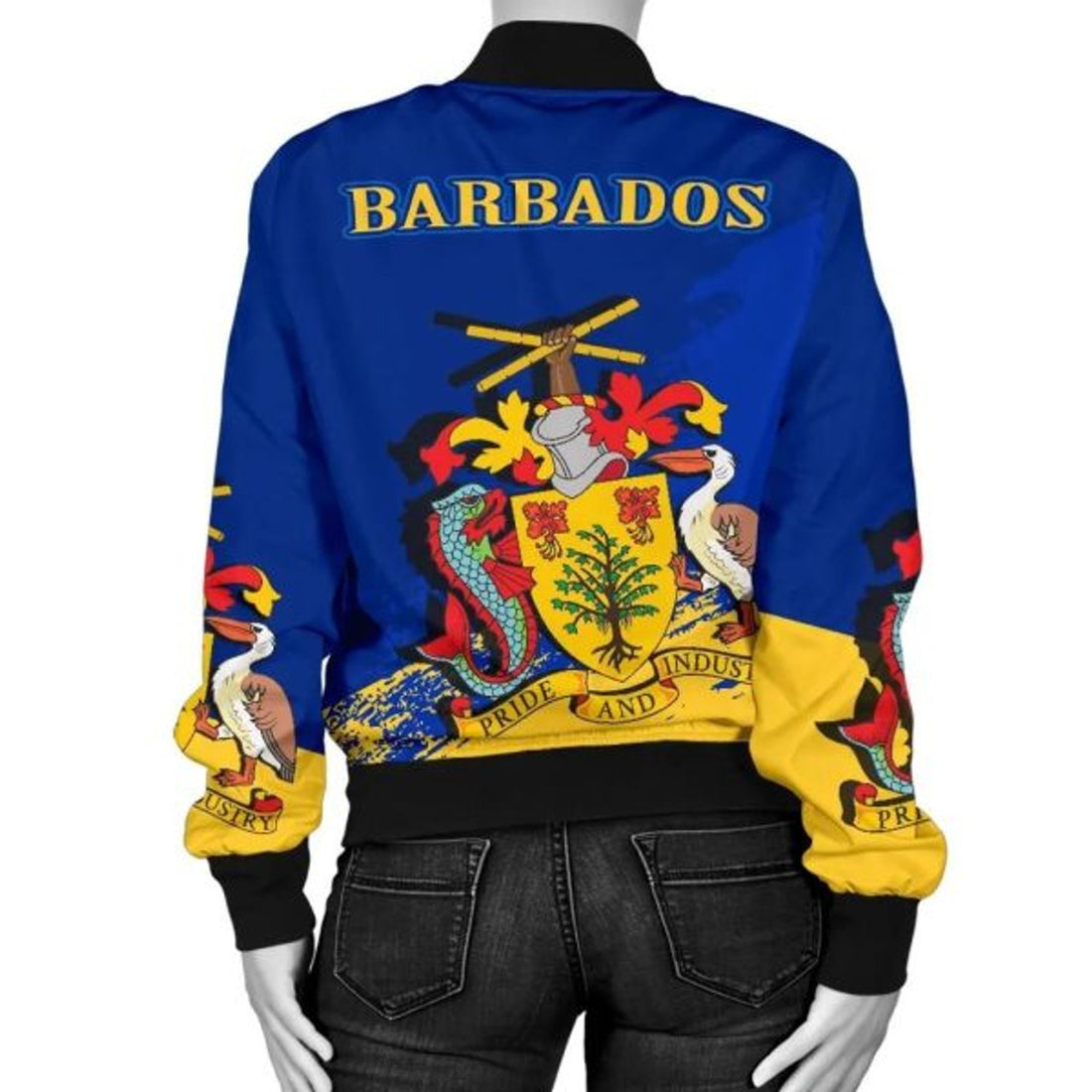 FUNSTUFFPRINT Barbados Special Women's Bomber Jacket 3D Bomber Jacket