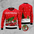 FUNSTUFFPRINT Beagle And Red Truck Ugly Christmas Sweater, Christmas Sweater, Ugly Sweater, Funny Xmas Sweaters Ugly Sweater