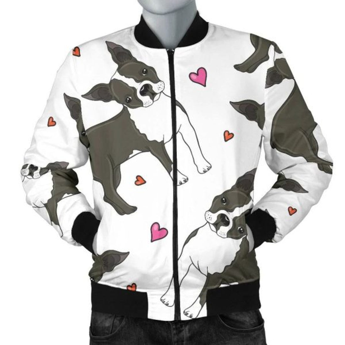 FUNSTUFFPRINT Boston Terrier 3D All Over Printed Shirt, Bomber Jacket Size 3D Bomber Jacket