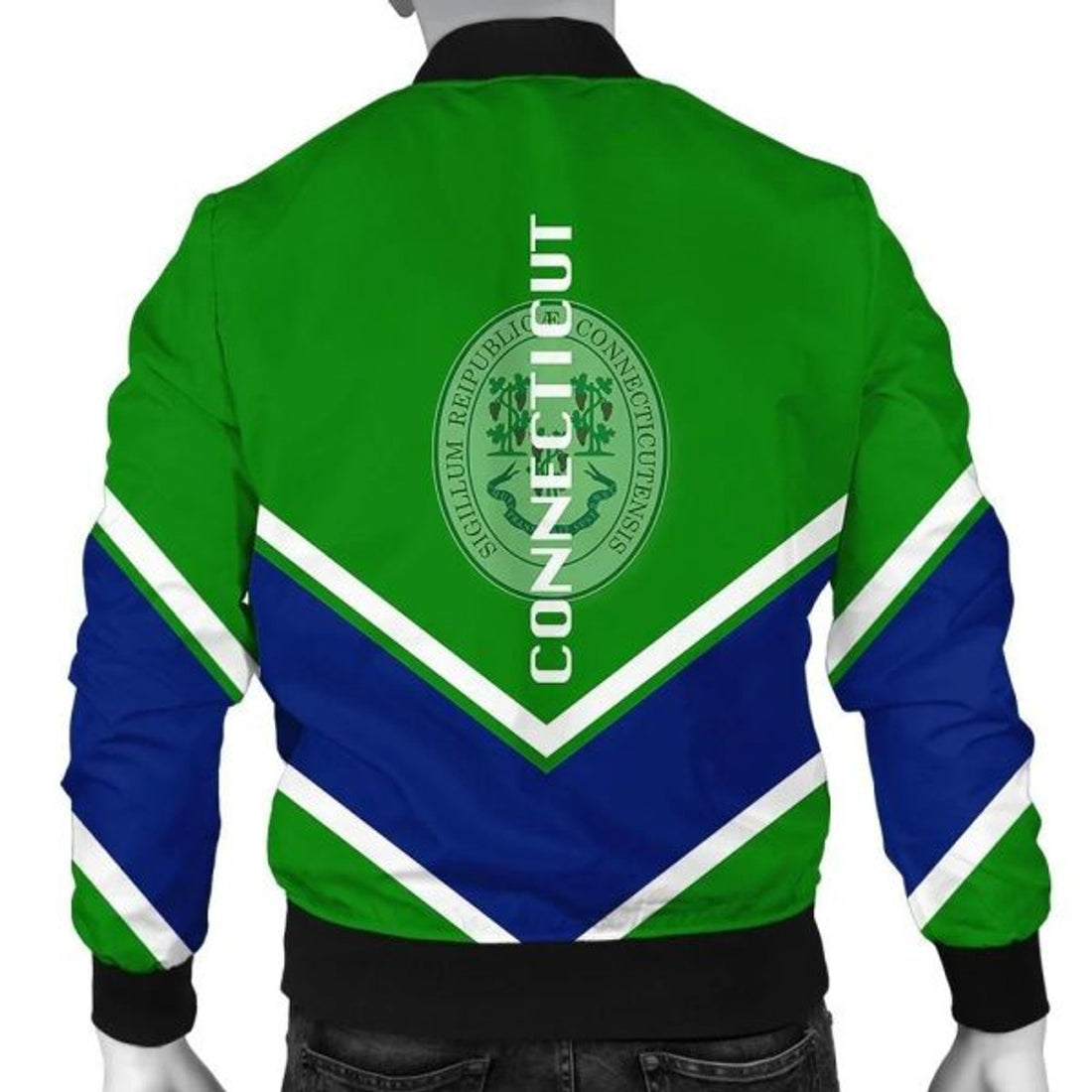 FUNSTUFFPRINT Connecticut Coat Of Arms Men Bomber Jacket Lucian Style 3D Bomber Jacket