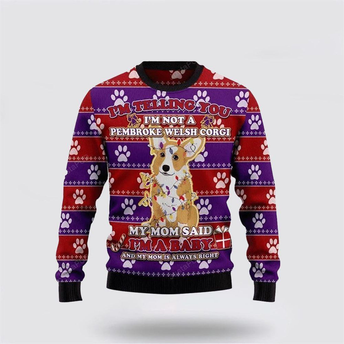 FUNSTUFFPRINT Corgi Dog Ugly Christmas Sweater – Dog Lover Christmas Sweater Ugly  Sweater