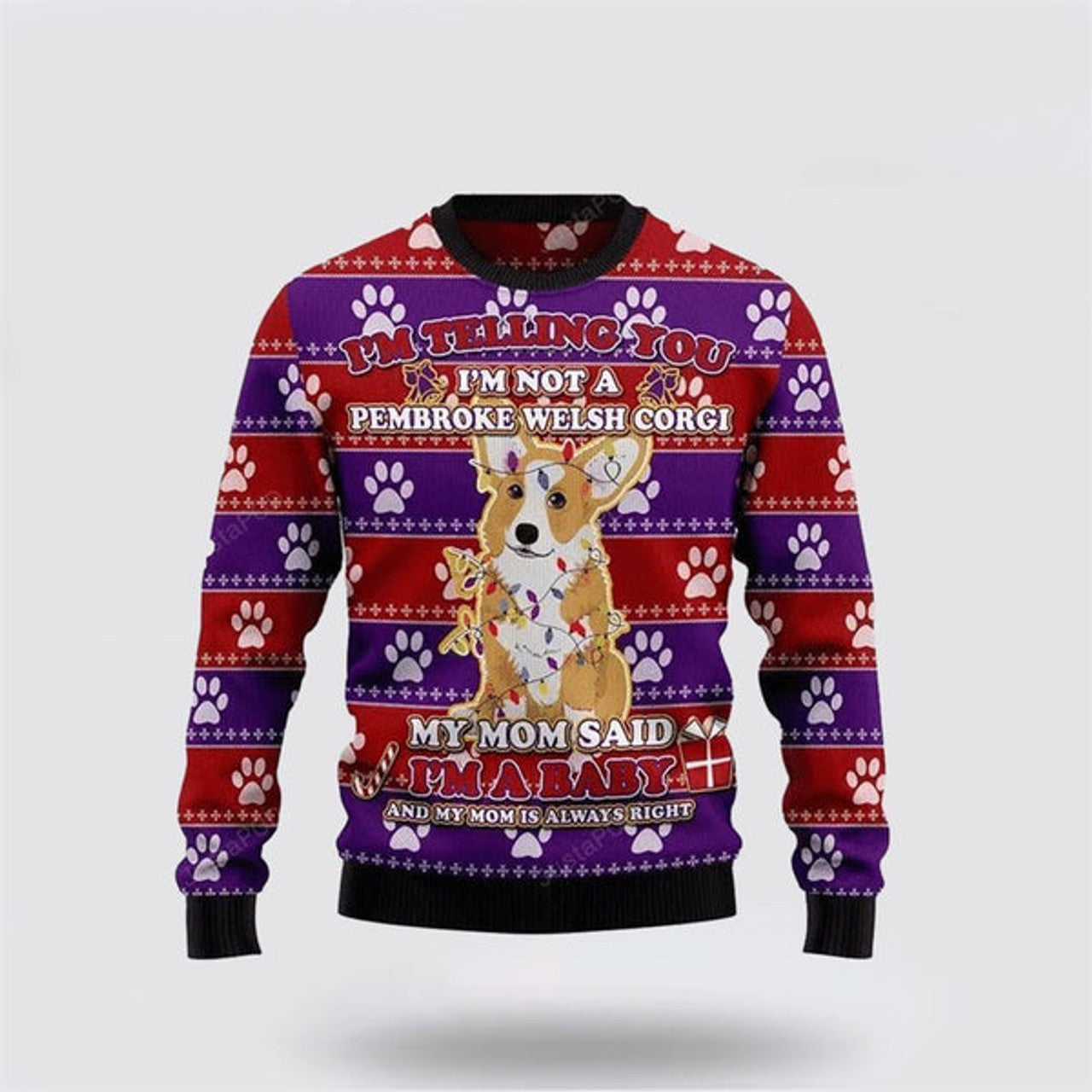 FUNSTUFFPRINT Corgi Dog Ugly Christmas Sweater For Men And Women, Gift For Christmas, Best Winter Christmas Outfit Ugly  Sweater
