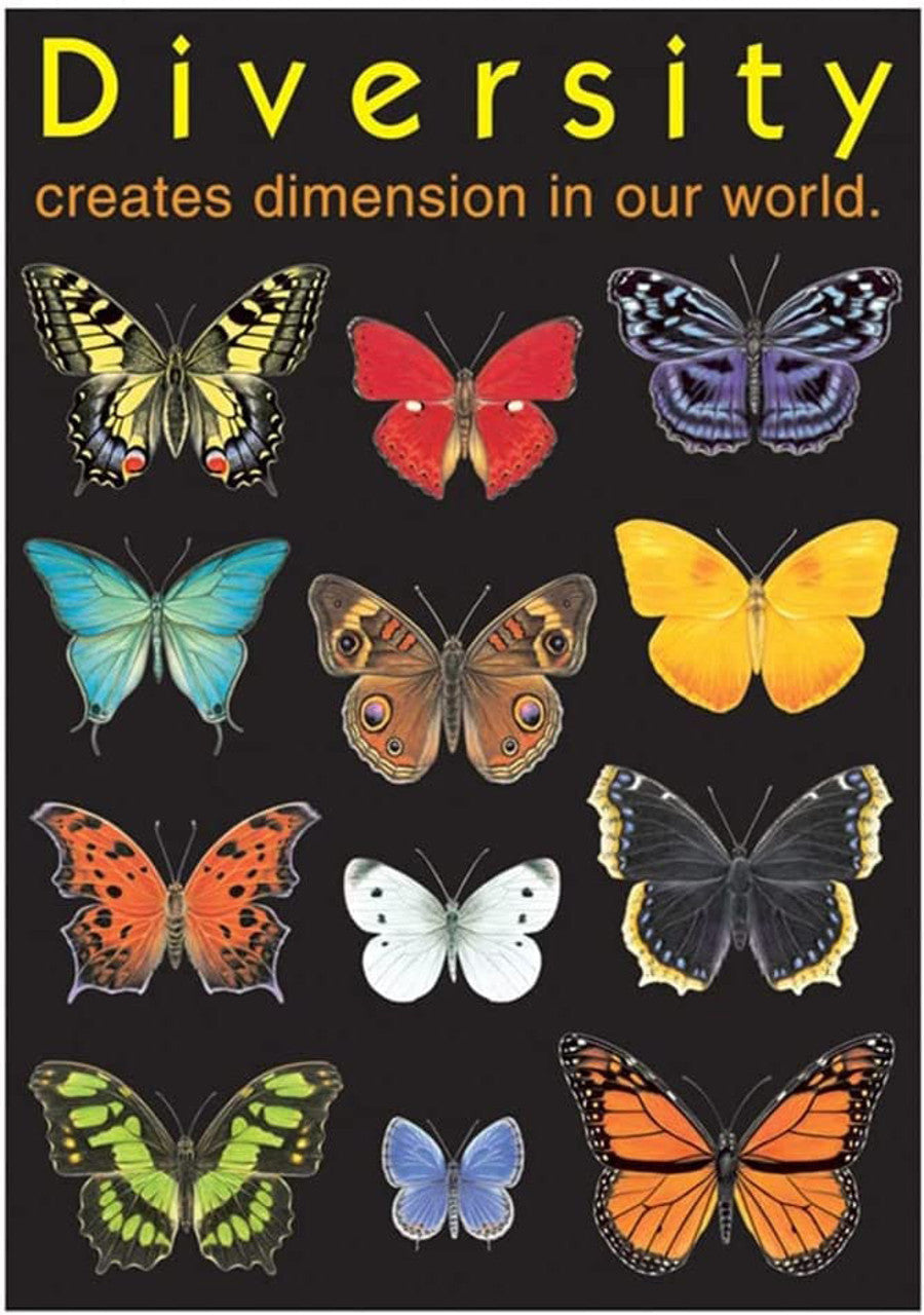 Diversity Creates Dimension In Our World, Butterfly Lover, Types Of Butterfly Poster and Canvas
