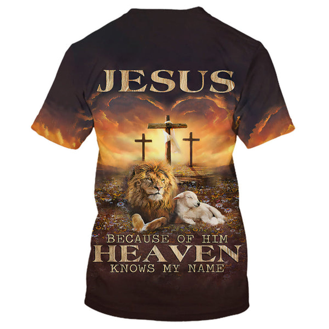FUNSTUFFPRINT Jesus Lion And Lamb Jesus Because Of Him Heaven Knows My Name 3D T-Shirts - Christian Shirts For Men&Women 3D T-shirt
