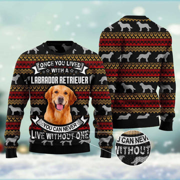 FUNSTUFFPRINT Labrador Retriever Ugly Christmas Sweater, Dog Ugly Christmas Sweater, Ugly Dog Sweaters Ugly  Sweater