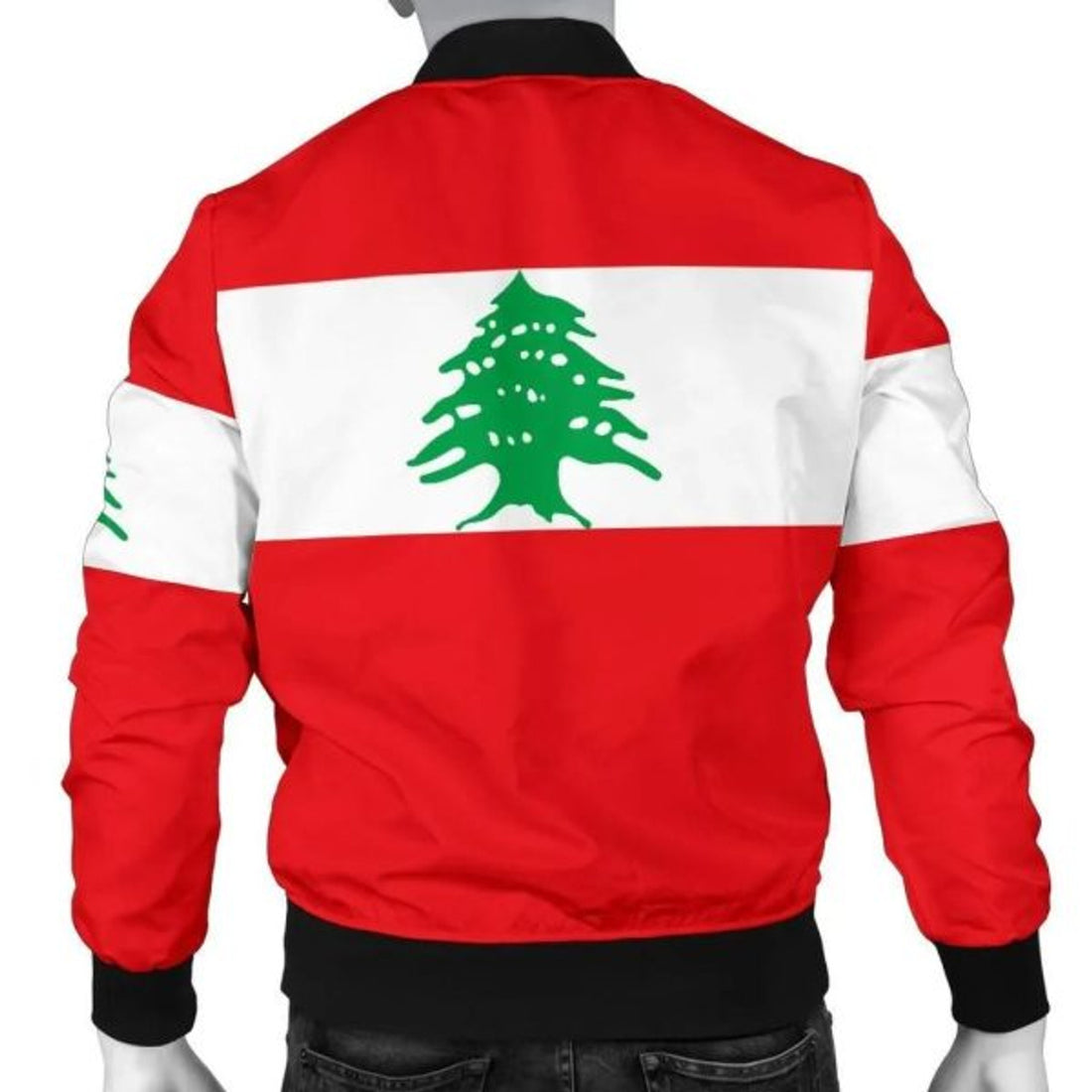 FUNSTUFFPRINTI Lebanon Men's Bomber Jacket Original Flag Bomber Jacket