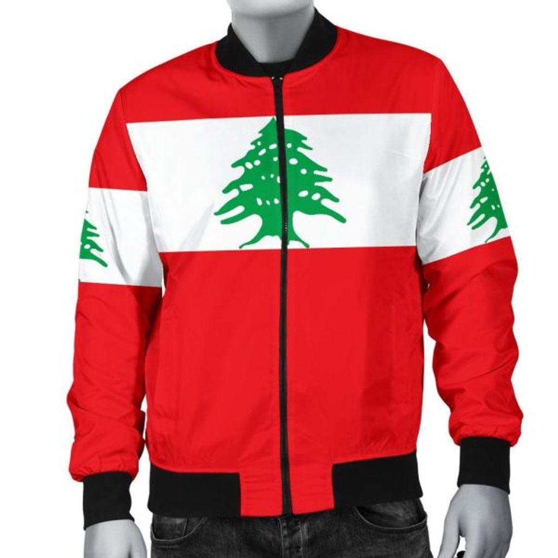 FUNSTUFFPRINTI Lebanon Men's Bomber Jacket Original Flag Bomber Jacket