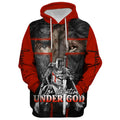 FUNSTUFFPRINT 3D Lion And Warrior 3D Hoodie and Zip Hoodie