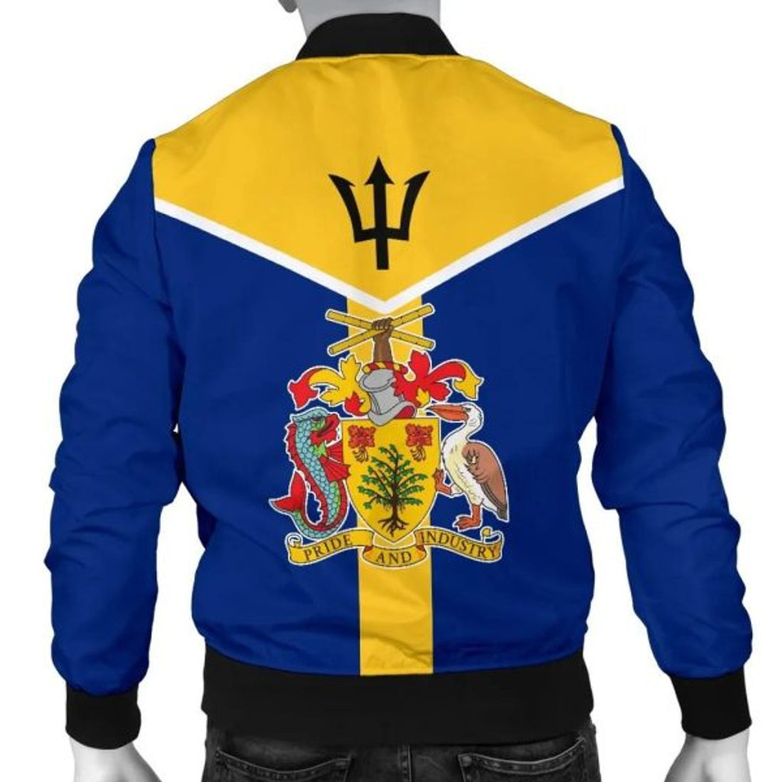 FUNSTUFFPRINTI Neo Barbados Men's 3D Bomber Jacket
