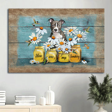Pit Bull You Are My Sunshine 2 Canvas Wall Art - Christian Wall Decor