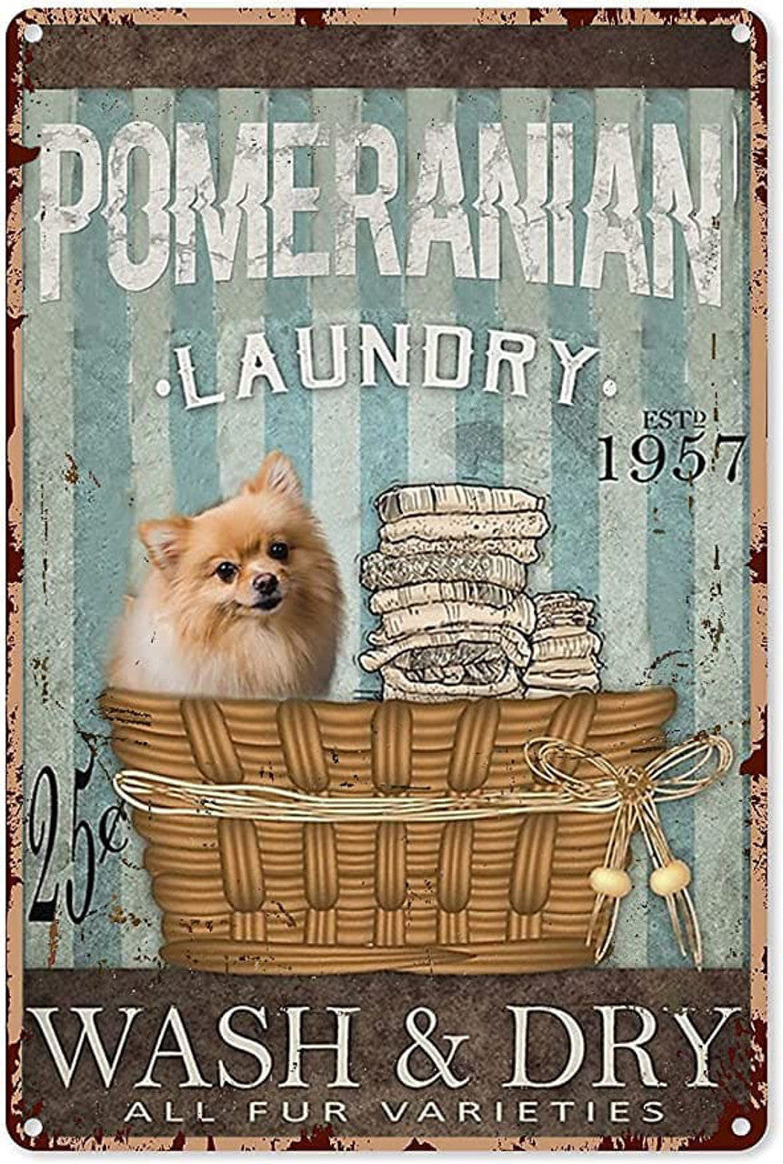 Pomeranian Laundry EST 1957 Wash And Dry All Fur Varieties, Dog Lover Poster and Canvas