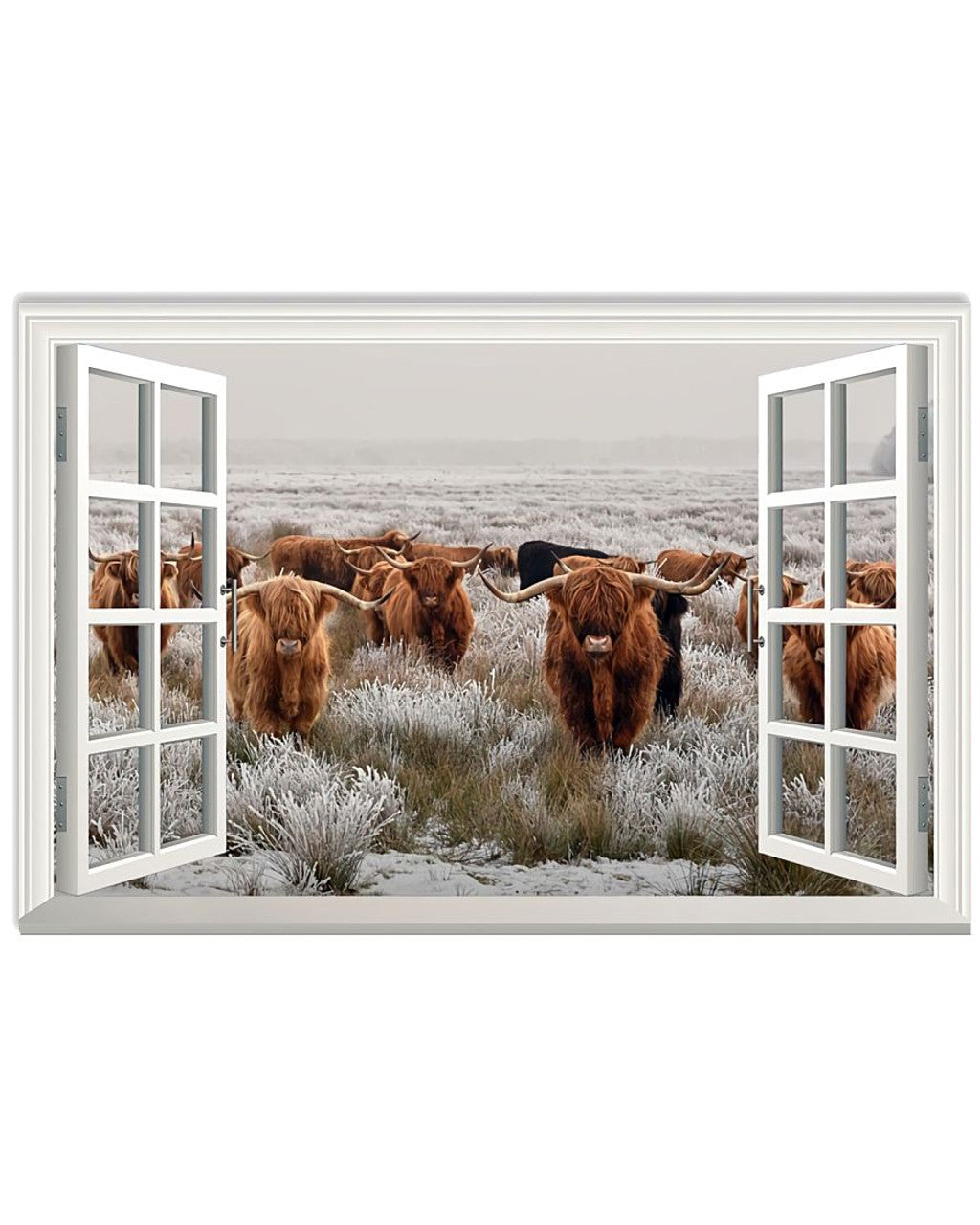 Highland Cattle Cows Window Poster and Canvas