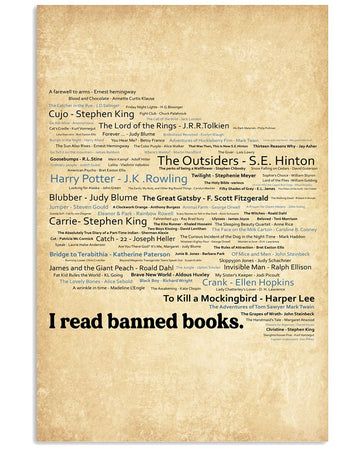 I Read Banned Books Cujo Stephen King The Outsiders Se Hinton To Kill A Mockingbird Harper Lee Poster and Canvas