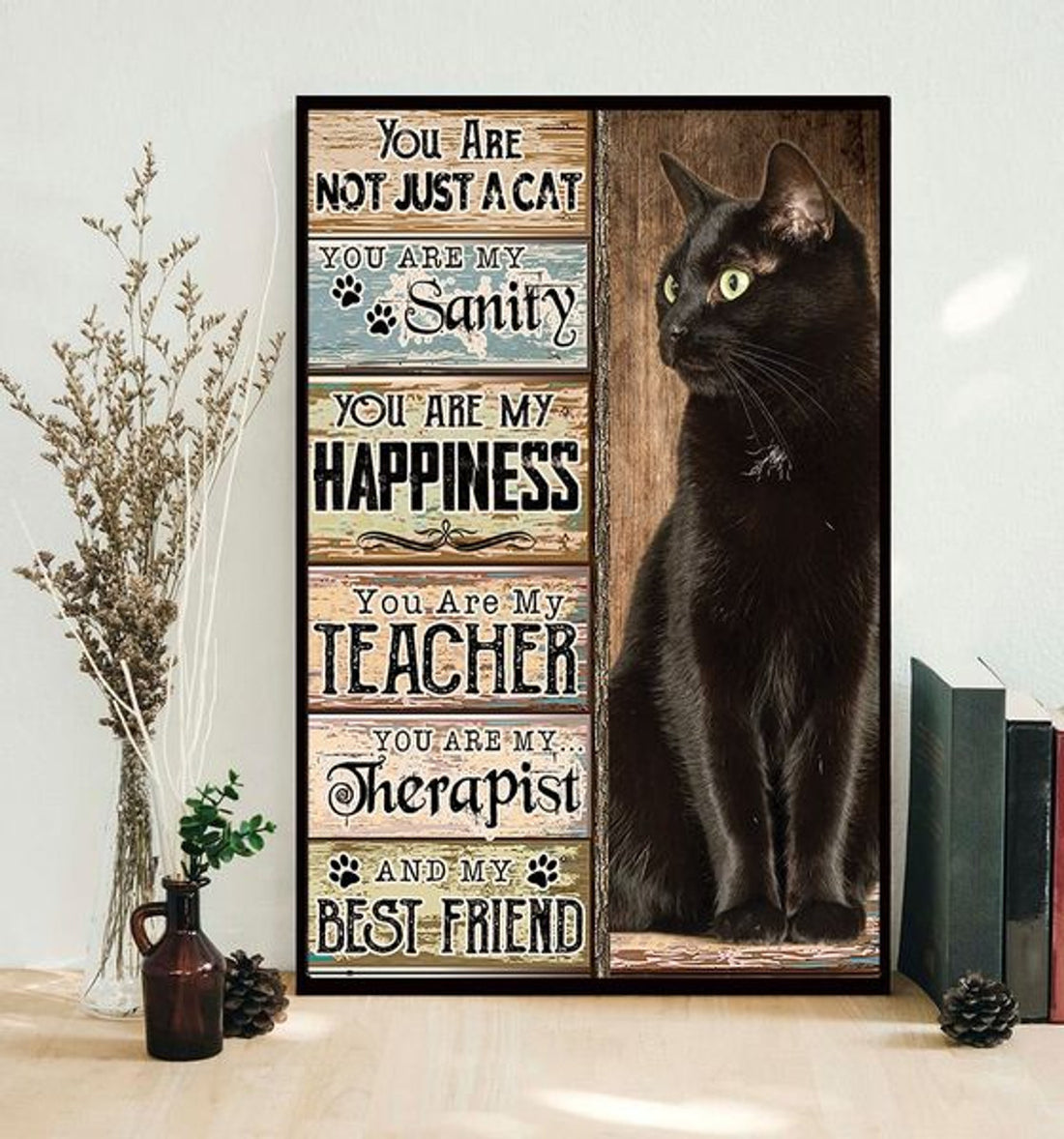 You Are Not Just A Cat You Are My Sanity My Happiness My Teacher My Therapist And My Best Friend Black Cat V
