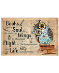 Books Give A Soul To The Universe Wings To The Mind Flight To The Imagination And Life To Everything Cute Owl Poster and Canvas