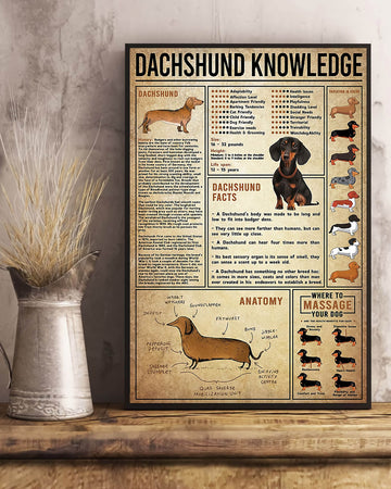 Dachshund Knowledge Facts Anatomy Where To Massage Poster and Canvas