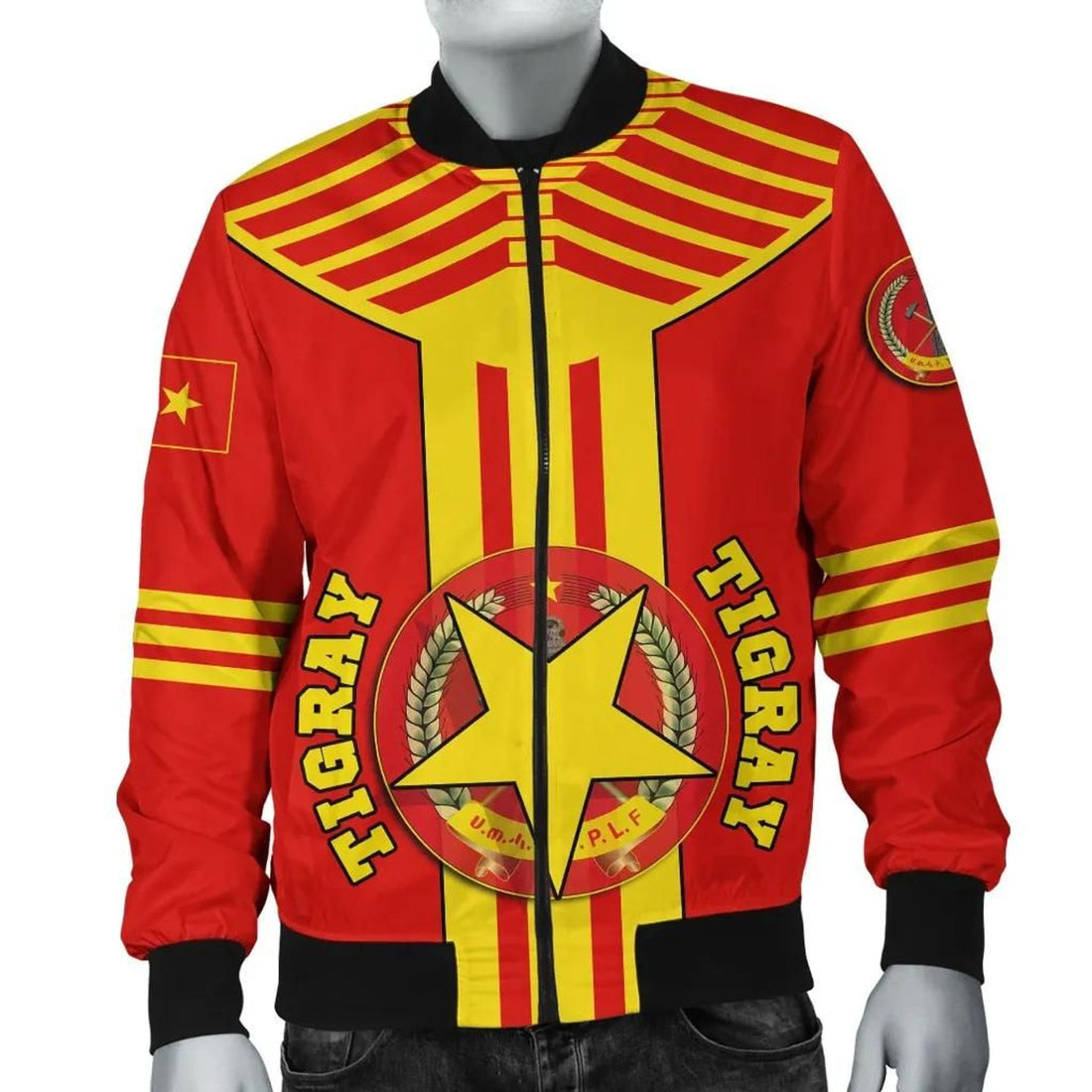 FUNSTUFFPRINT Tigray Bomber Jacket New 3D Bomber Jacket