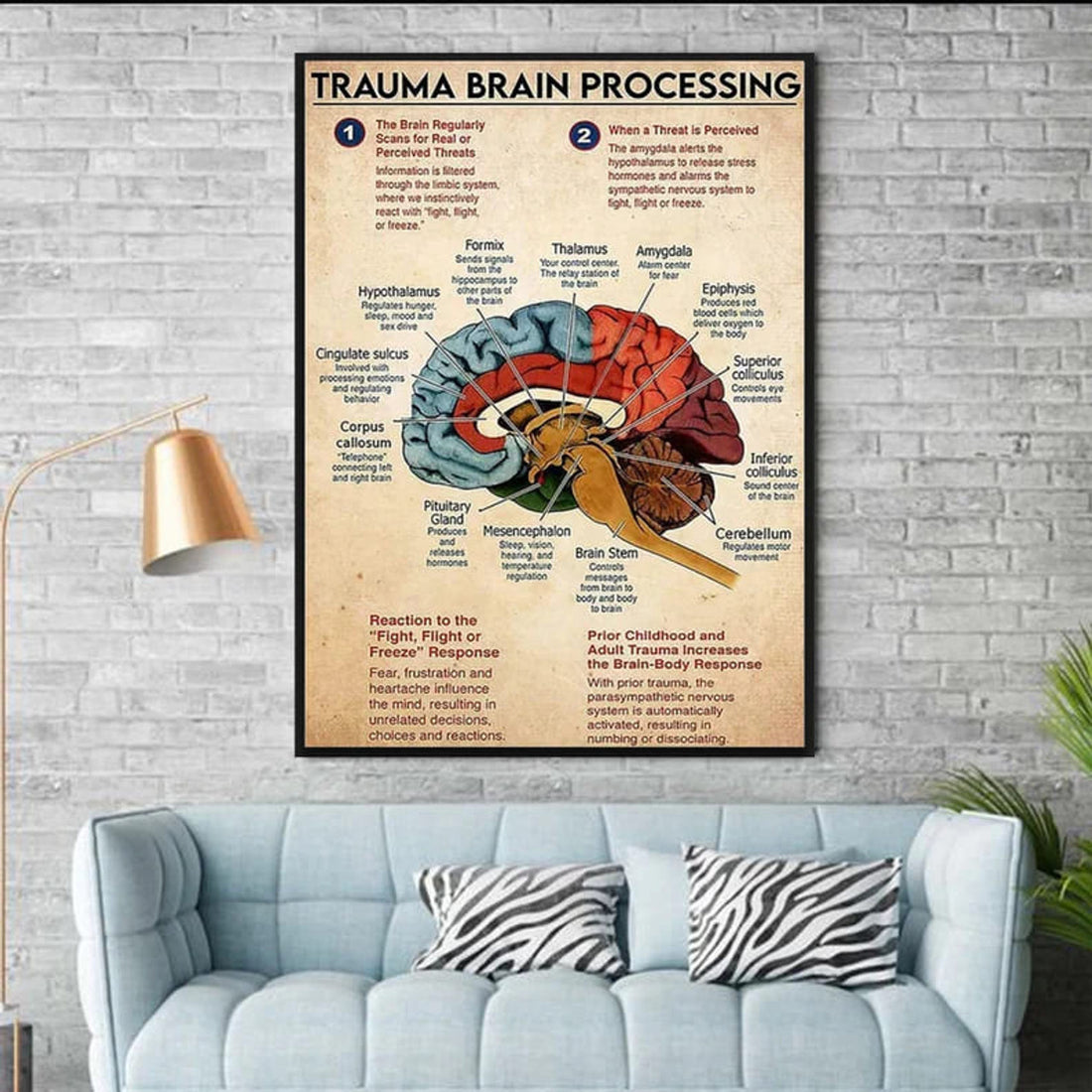 Trauma Brain Processing The Brain Regularly Scans For Real When A Threat Is Perceived, Knowledge Poster Poster and Canvas