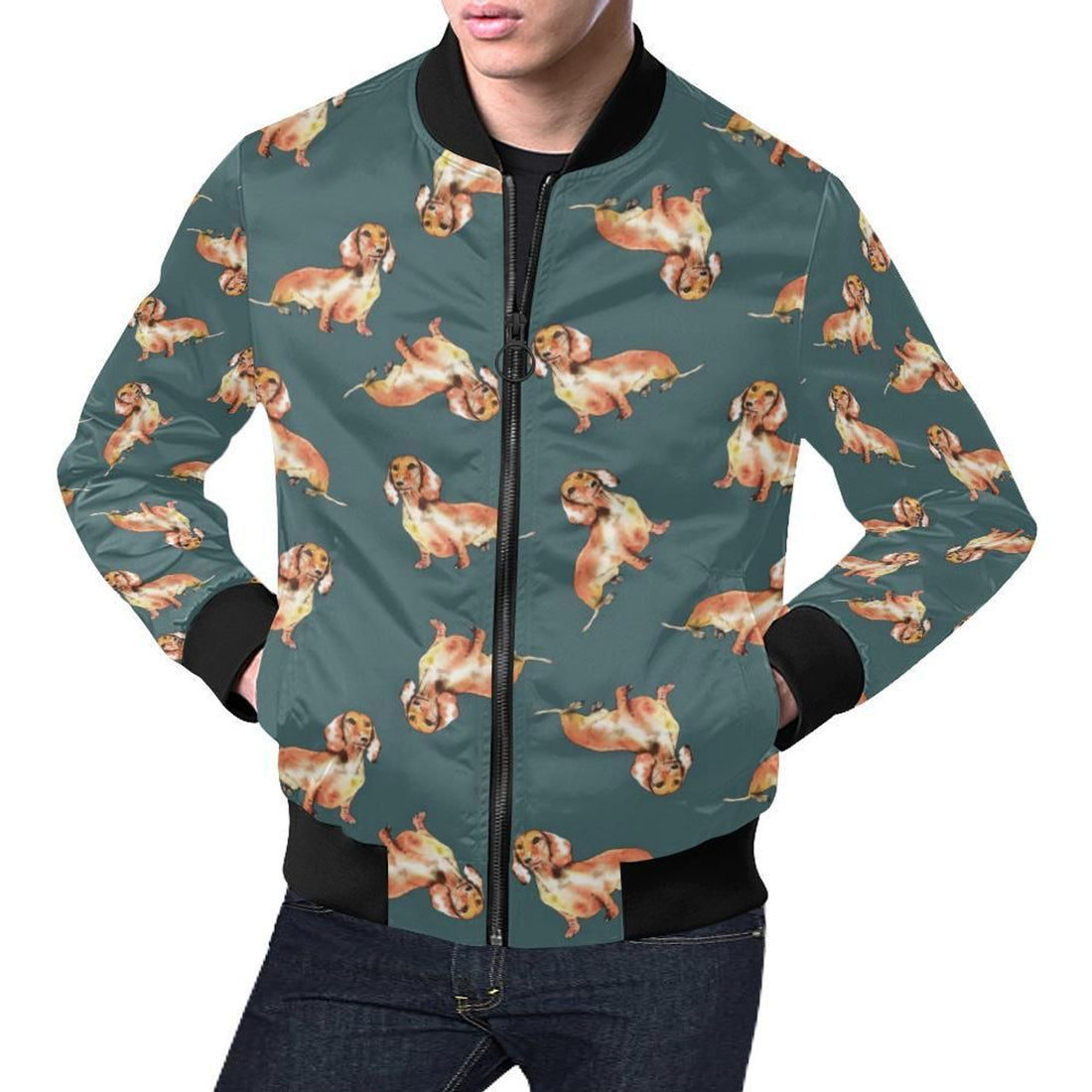 FUNSTUFFPRINT Wiener Dog Dachshund Portrait Pastel Pattern Print Mens 3D Bomber Jacket