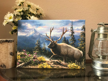 Siskiyou Bluff Canvas Wall Art